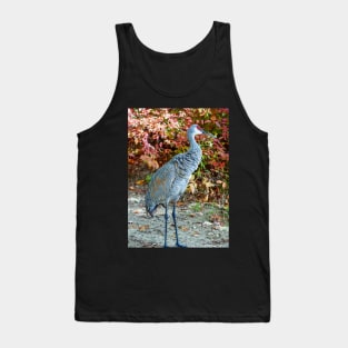 Crane's Walkabout Tank Top